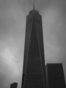 VCF Respiratory Conditions RADS Rhinosinusitis